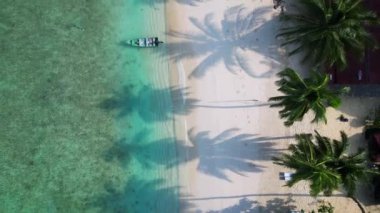 Yeşillik yemyeşil tropik plajlar. Hız rampası hiperlapse hareket hızı zaman aşımı. Palmiye ağaçları ve kristal berrak sularla kaplı sakin bir tropikal plajın insansız hava aracı görüntüsü.