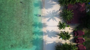 Yeşillik yemyeşil tropik plajlar. İHA kamerası aşağıya bakıyor. Palmiye ağaçları ve kristal berrak sularla kaplı sakin bir tropikal plajın insansız hava aracı görüntüsü.