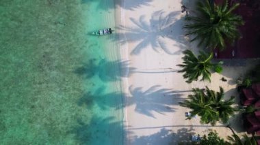 Yeşillik yemyeşil tropik plajlar. dikey kuşların görüş dronu. Palmiye ağaçları ve kristal berrak sularla kaplı sakin bir tropikal plajın insansız hava aracı görüntüsü.