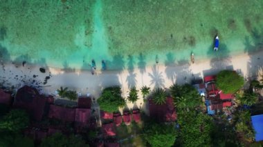 Yeşillik yemyeşil tropik plajlar. İHA. Palmiye ağaçları ve kristal berrak sularla kaplı sakin bir tropikal plajın sağdaki drone görüntüsüne döndür