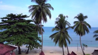 Yeşillik yemyeşil tropik plajlar. İHA 'yı çok yakın geçti. Palmiye ağaçları ve kristal berrak sularla kaplı sakin bir tropikal plajın insansız hava aracı görüntüsü.