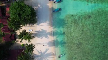 Yeşillik yemyeşil tropik plajlar. dikey kuşların görüş dronu. Palmiye ağaçları ve kristal berrak sularla kaplı sakin bir tropikal plajın insansız hava aracı görüntüsü.