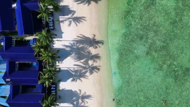 トロピカルビーチの空中ビュークリスタル透明な水 上のビューの上の無人機 ボートと活気に満ちたサンゴ礁を持つ穏やかな熱帯ビーチのトップダウンショット — ストック動画