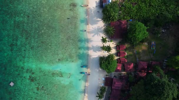 Praia Tropical Com Vegetação Exuberante Drone Rampa Velocidade Hyperlapse Motionlapse — Vídeo de Stock