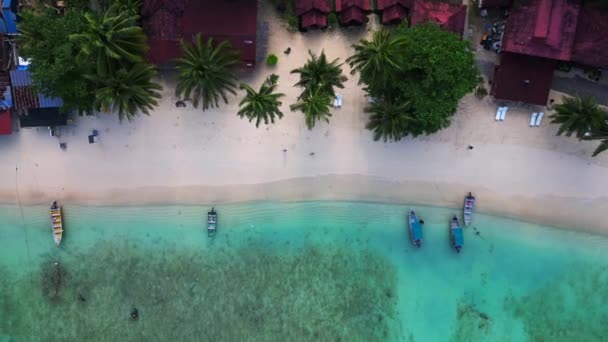 Praia Tropical Com Vegetação Exuberante Câmera Drone Apontando Para Baixo — Vídeo de Stock