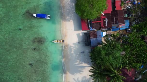 Tropical Beach Lush Greenery Drone Drone Shot Footage Shot Serene — Stock Video