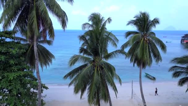 Tropikalna Plaża Bujną Zielenią Nad Dronem Przelotowym Zdjęcia Dronów Spokojnej — Wideo stockowe