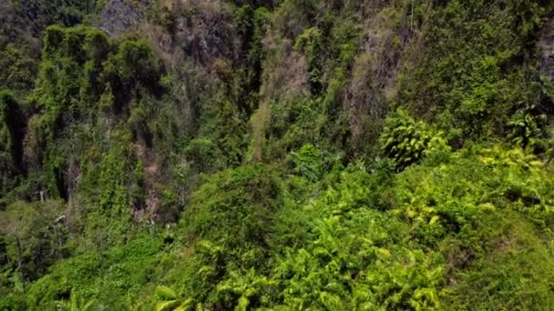 Exuberante Paisaje Montaña Tropical Verde Vista Panorámica Del Vibrante Terreno — Vídeos de Stock