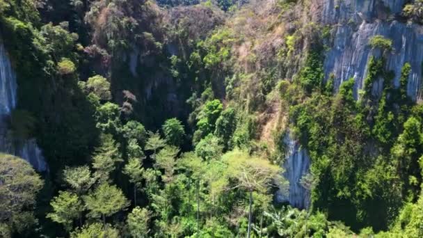 緑豊かな熱帯の山の風景 青空フライリバースドローンの下で濃い緑に覆われた活気に満ちた熱帯山地形のパノラマビュー — ストック動画