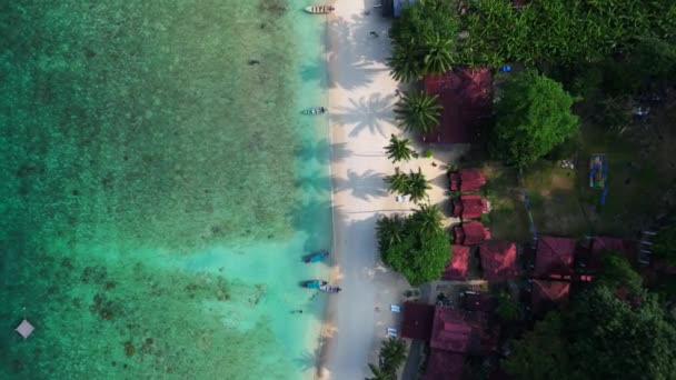 緑豊かな熱帯ビーチ 上のビューの上の無人機 パームツリーとクリスタルクリアウォーターが並ぶ穏やかな熱帯ビーチのドローンショット — ストック動画