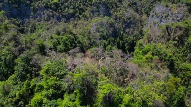Frodiga Gröna Tropiska Bergslandskap Panoramautsikt Över Livlig Tropisk Bergsterräng Täckt — Stockvideo