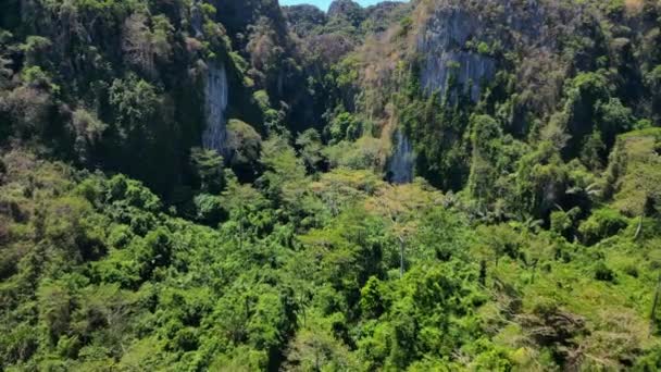Sorvolare Drone Sorvolo Lussureggiante Paesaggio Montagna Tropicale Verde Vista Panoramica — Video Stock