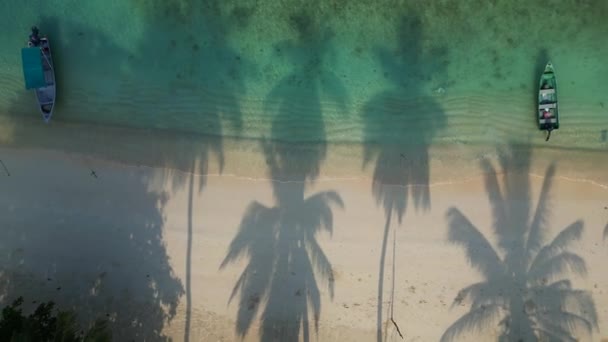 Spiaggia Tropicale Con Vegetazione Lussureggiante Drone Uccelli Verticali Colpo Drone — Video Stock