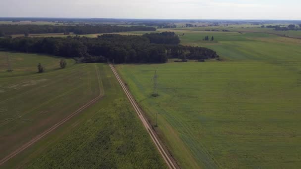 Expansief Groen Maïsveld Onder Blauwe Hemel Panorama Overzicht Drone Rustig — Stockvideo
