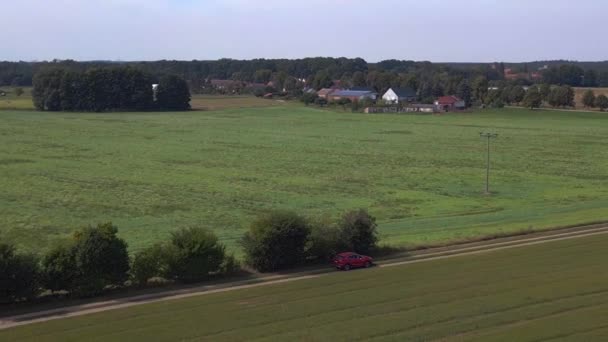 Расширенное Зеленое Поле Кукурузы Голубым Небом Отслеживающий Выстрел Сверху Дрона — стоковое видео