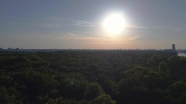 Yaz Vibe Sun Sunset Berlin Park Ormanı. Dramatik hava görüntülü uçuş dronu. Frotasyon sağ drone 'a. Yüksek kalite 4k görüntü