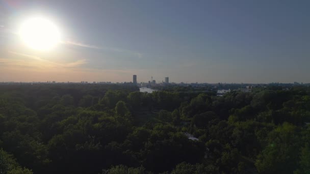 Summer Vibe Sun Sunset Berlin Park Forest Dramatis Udara Atas — Stok Video