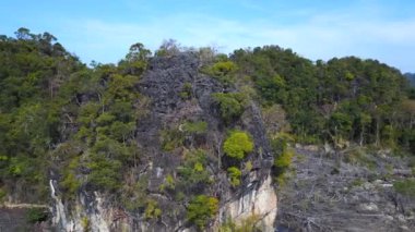 Ters uçan İHA görüntüsü Langkawi, Malezya 'daki orman tahribatının sonuçlarını gösteriyor.