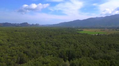 Aşırı hız rampası hızlandırılmış zaman aşımı görüntüsü Langkawi, Malezya 'da orman tahribatının sonrasını gösteriyor