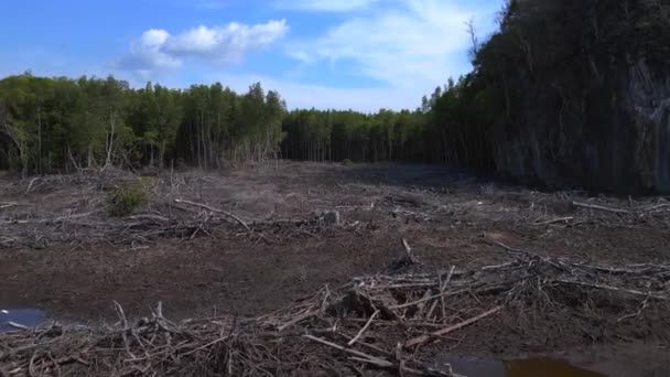 Speed Ramp Hyperlapse Motionlapse Timelapse Image Showcasing Aftermath Mangrove Deforestation — Stock Video