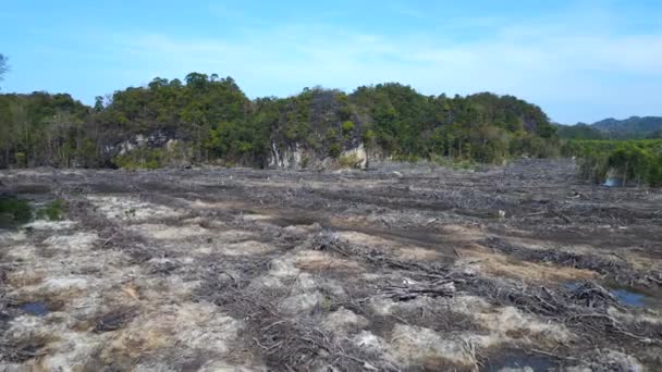 スピードランプ マレーシアのラングカウイでのマングローブの森林破壊の余波を示すハイパーラプスモーションラプスタイムラプス画像 ロイヤリティフリーストック映像