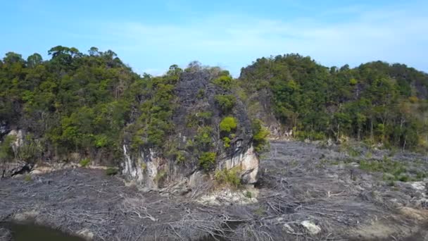 Gambar Dengung Orbit Panorama Menampilkan Dampak Dari Penggundulan Hutan Bakau — Stok Video