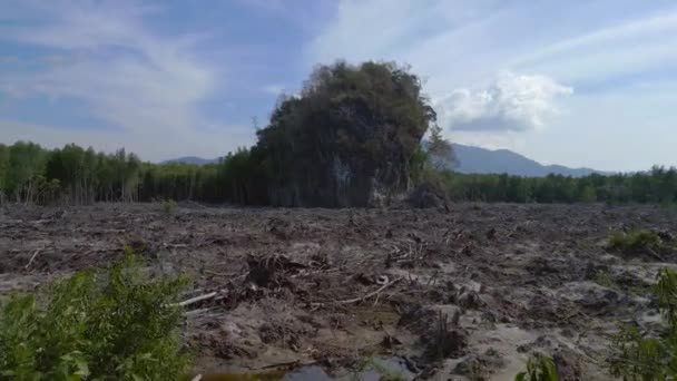 Overflight Flyover Drone Image Showcasing Aftermath Mangrove Deforestation Langkawi Malaysia — Stock Video