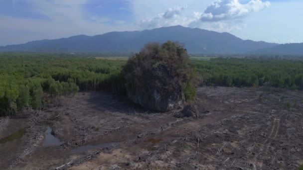 Dron Descendente Imagen Mostrando Las Secuelas Deforestación Manglares Langkawi Malasia — Vídeo de stock
