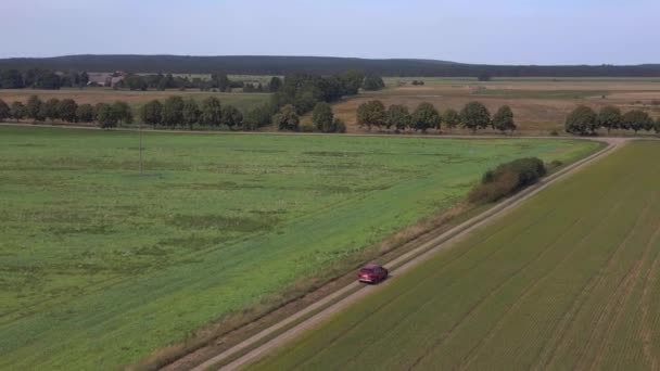 Campo Milho Verde Expansivo Sob Céu Azul Drone Filmou Cima — Vídeo de Stock
