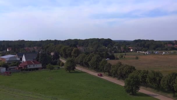Expansivt Grönt Majsfält Blå Himmel Spårning Från Ovan Drönare Lugnt — Stockvideo