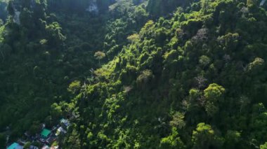 Hız rampası hiperlapse hareket hızı zaman aşımı. Güneş ışığı, Asya 'nın güneydoğusundaki bir dağ yamacını kaplayan yoğun, canlı yeşil bir ormanda parlıyor.