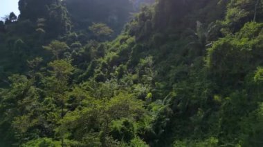 Hız rampası hiperlapse hareket hızı zaman aşımı. Güneş ışığı, Asya 'nın güneydoğusundaki bir dağ yamacını kaplayan yoğun, canlı yeşil bir ormanda parlıyor.