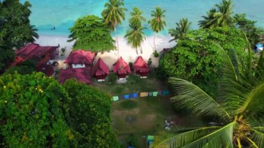 Tropikal cennetin tadını çıkaran turistler, tropik bir adanın kıyısındaki palmiye ağaçları ve yemyeşil bitkilerin arasına yuva yapmış durumdalar. Drone 'u yukarı eğ 