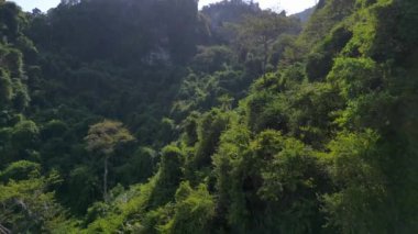 Üstten kumandalı hava aracı. Güneş ışığı, Asya 'nın güneydoğusundaki bir dağ yamacını kaplayan yoğun, canlı yeşil bir ormanda parlıyor.