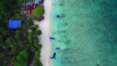 Turkuvaz suları ve yemyeşil yağmur ormanlarıyla çevrili, yüzen bir restorana giden uzun ahşap bir iskelesi olan tropik bir adanın havadan görünüşü. dikey kuş bakışı dron 