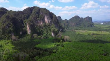 Panorama insansız hava aracı. Bereketli yeşil orman, Tayland, Yengeç 'teki yüksek kireçtaşı dağlarının altındaki vadi tabanını kaplıyor.