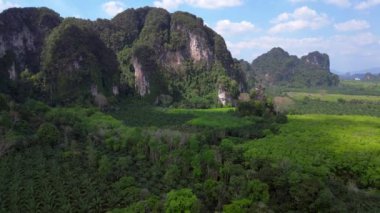 Geri geri uçun. Bereketli yeşil orman, Tayland, Yengeç 'teki yüksek kireçtaşı dağlarının altındaki vadi tabanını kaplıyor.