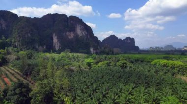 İHA iniyor. Bereketli yeşil orman, Tayland, Yengeç 'teki yüksek kireçtaşı dağlarının altındaki vadi tabanını kaplıyor.