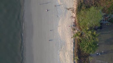 dikey kuşların görüş dronu. Turistler gün batımında kumsalda yürürken arka planda yemyeşil bir tropikal orman görüyorlar.