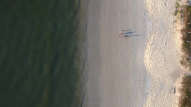 dikey kuşların görüş dronu. Turistler gün batımında kumsalda yürürken arka planda yemyeşil bir tropikal orman görüyorlar.