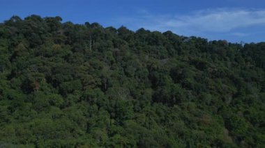 Langkawi, Malezya 'daki dramatik dağ tepelerinin yamaçlarını kaplayan çarpıcı yeşil orman örtüsü. İHA alçalıyor 