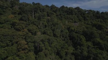 Langkawi, Malezya 'daki dramatik dağ tepelerinin yamaçlarını kaplayan çarpıcı yeşil orman örtüsü. Ters İHA uçuşu 