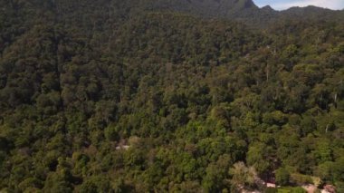Langkawi, Malezya 'daki dramatik dağ tepelerinin yamaçlarını kaplayan çarpıcı yeşil orman örtüsü. uçuş üstü insansız hava aracı 