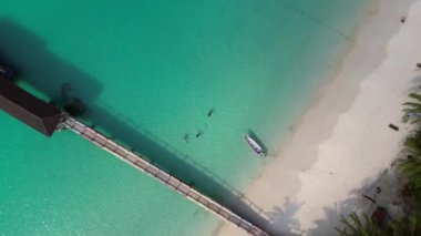 İnsansız hava aracı kameraları turkuvaz suyu, beyaz kum ve yemyeşil bitki örtüsü olan tropikal bir sahili gösteriyor.. 