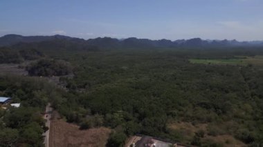 Langkawi 'de turkuaz suyla tropikal Rekreasi Kastam sahilinin havadan görünüşü. Sol İHA 'ya dön 