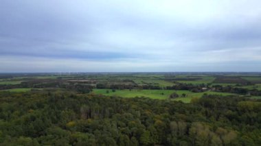 Almanya 'da sık bir ormanın havadan görünüşü renkli sonbahar yapraklarını gösteriyor. panorama genel görünüm dronu 