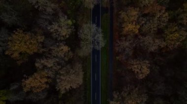 Bulutlu mavi gökyüzünün altında asfalt yolu renkli sonbahar ormanlarını geçiyor. Yukarıdan aşağıya doğru uçur 