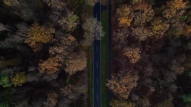 Bulutlu mavi gökyüzünün altında asfalt yolu renkli sonbahar ormanlarını geçiyor. Yukarıdan insansız hava aracı görüntüleri 