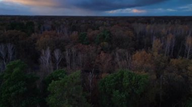 Bulutlu mavi gökyüzünün altında asfalt yolu renkli sonbahar ormanlarını geçiyor. Ters İHA uçuşu 