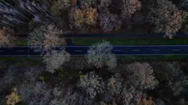 Bulutlu mavi gökyüzünün altında asfalt yolu renkli sonbahar ormanlarını geçiyor. dikey kuş bakışı dron 